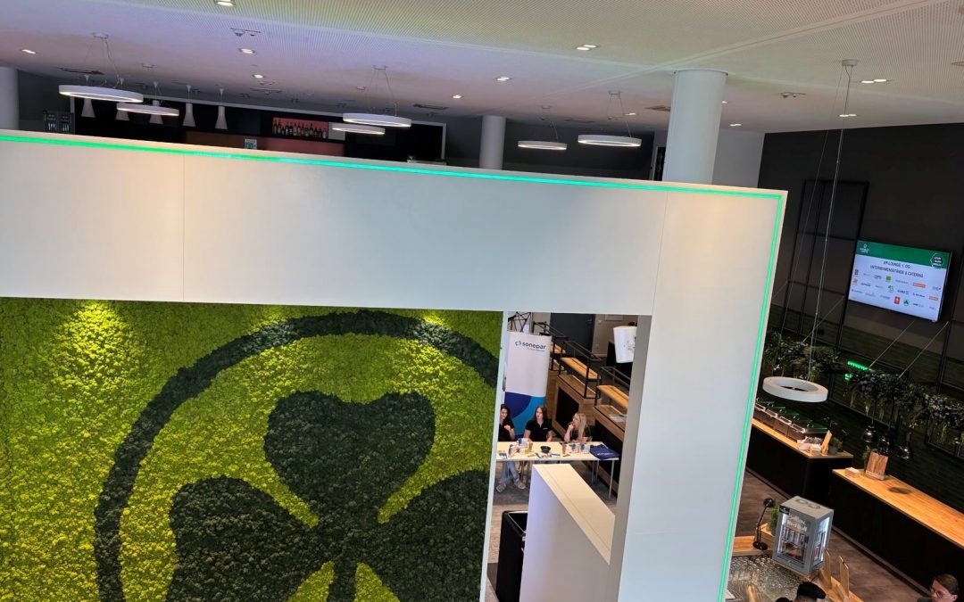 V.I.P. Bereich Spielvereinigung Greuther Fürth